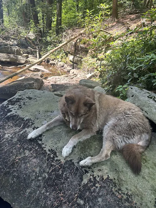Heritage Veterinary Hospital Picture 2