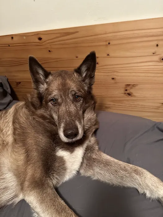 Heritage Veterinary Hospital Picture 1