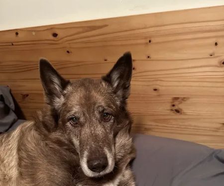 Heritage Veterinary Hospital