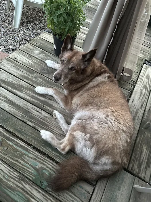 Heritage Veterinary Hospital Picture 6