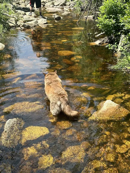 Heritage Veterinary Hospital Picture 4