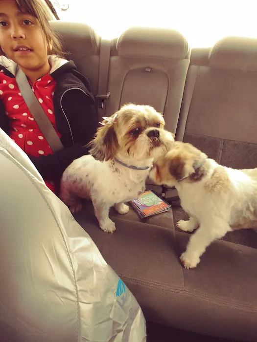 Heritage Veterinary Hospital Picture 8