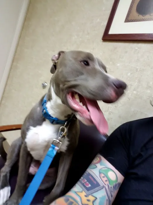 Heritage Veterinary Hospital Picture 10