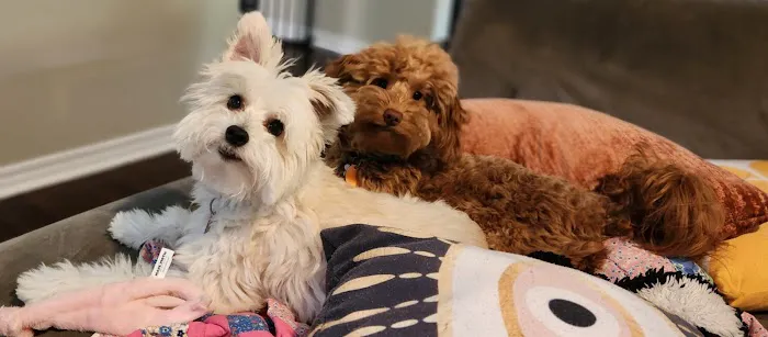 Heritage Veterinary Hospital Picture 7