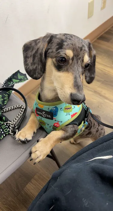 Appelbaum Animal Clinic Picture 3