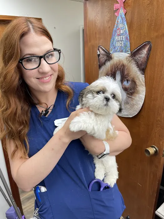 Appelbaum Animal Clinic Picture 7