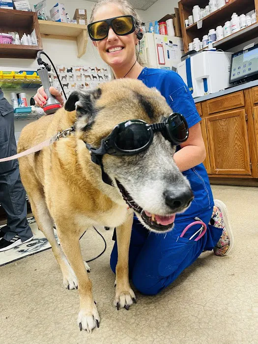 Appelbaum Animal Clinic Picture 8