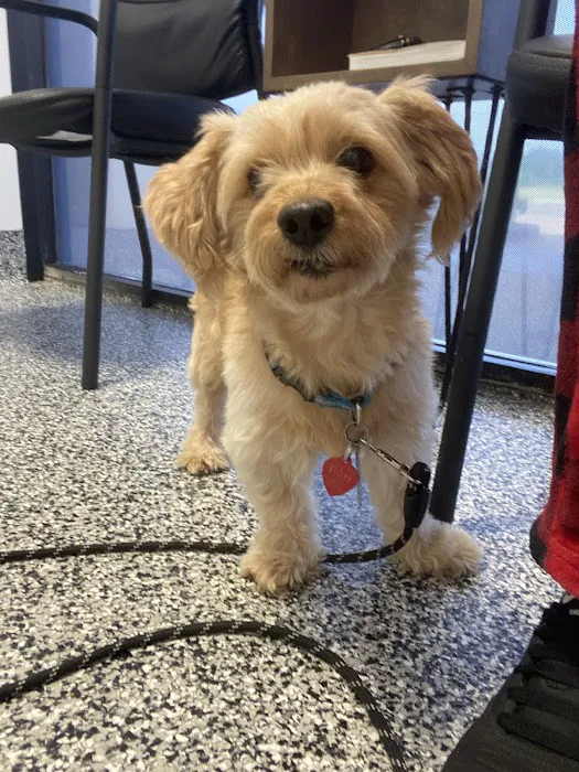 Tulsa Animal Urgent Care Picture 4