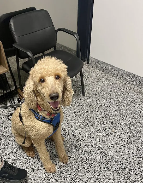 Tulsa Animal Urgent Care Picture 9