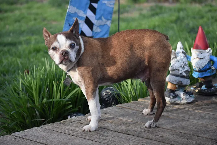 15th Street Veterinary Group Picture 6