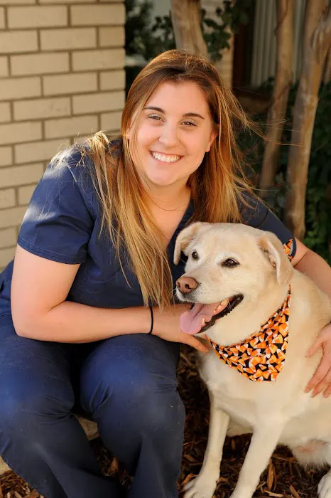 15th Street Veterinary Group Picture 10