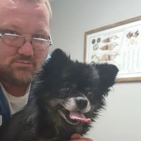 Shackelford Mark DVM ico