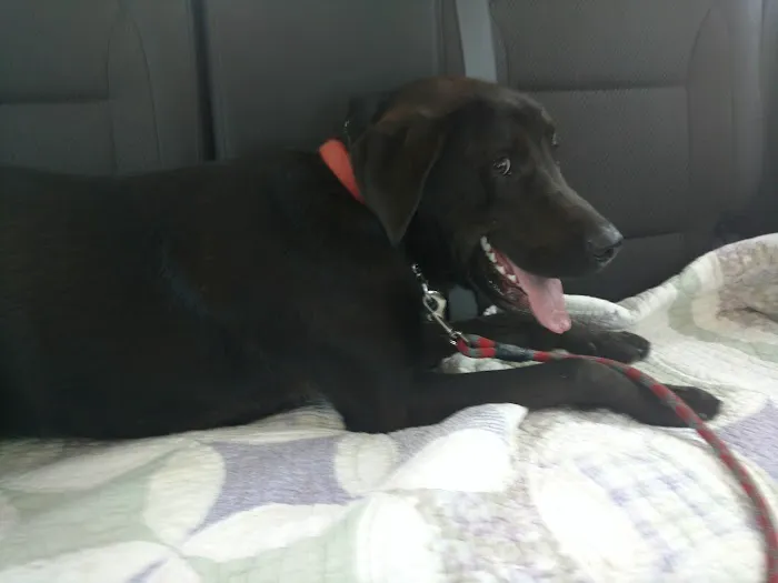 Shackelford Mark DVM Picture 3