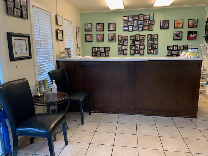 VCA Woodland Broken Arrow Animal Hospital Picture 8