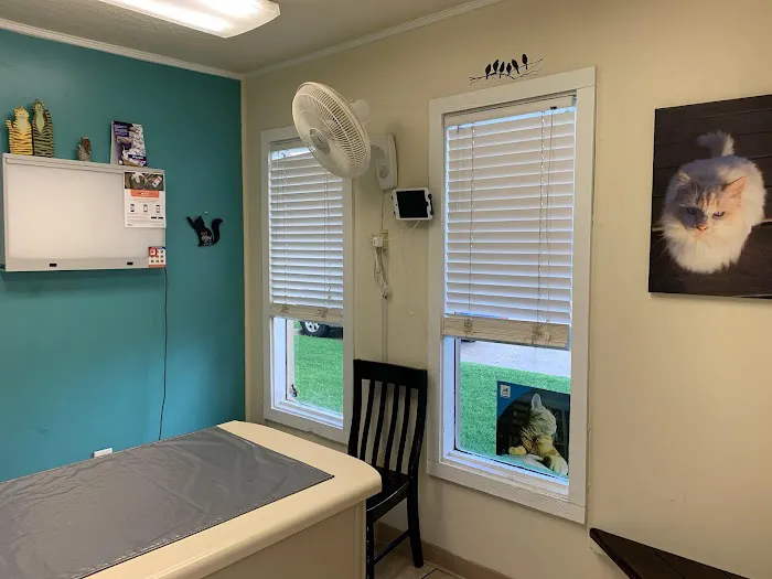 VCA Woodland Broken Arrow Animal Hospital Picture 5