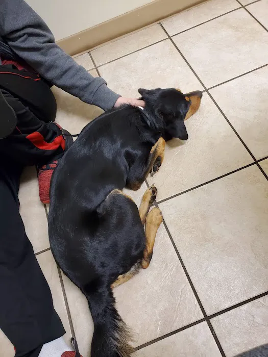 VCA Woodland Broken Arrow Animal Hospital Picture 7