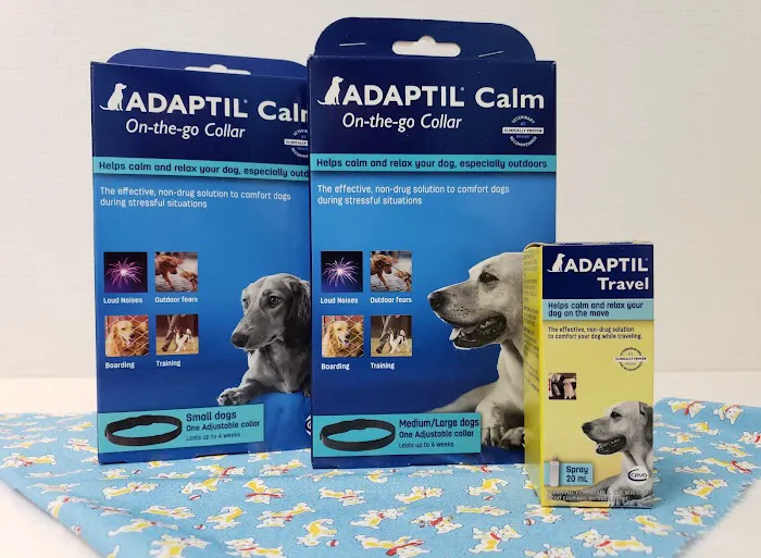 Animal House Veterinary Hospital Picture 2