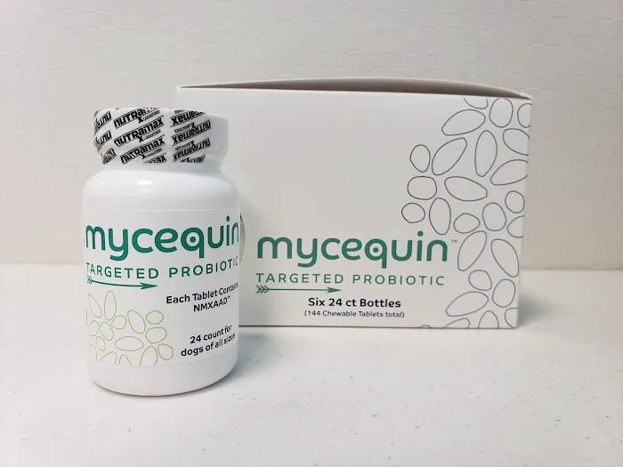 Animal House Veterinary Hospital Picture 7