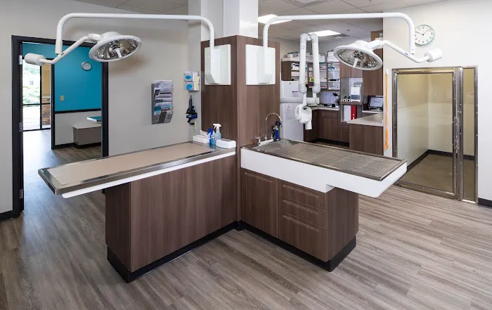 Animal House Veterinary Hospital Picture 9