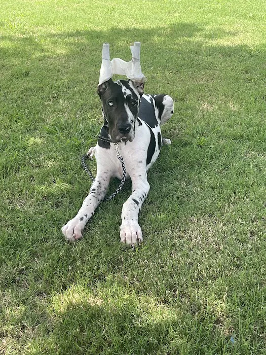 Tulsa General Veterinary Hospital Picture 2