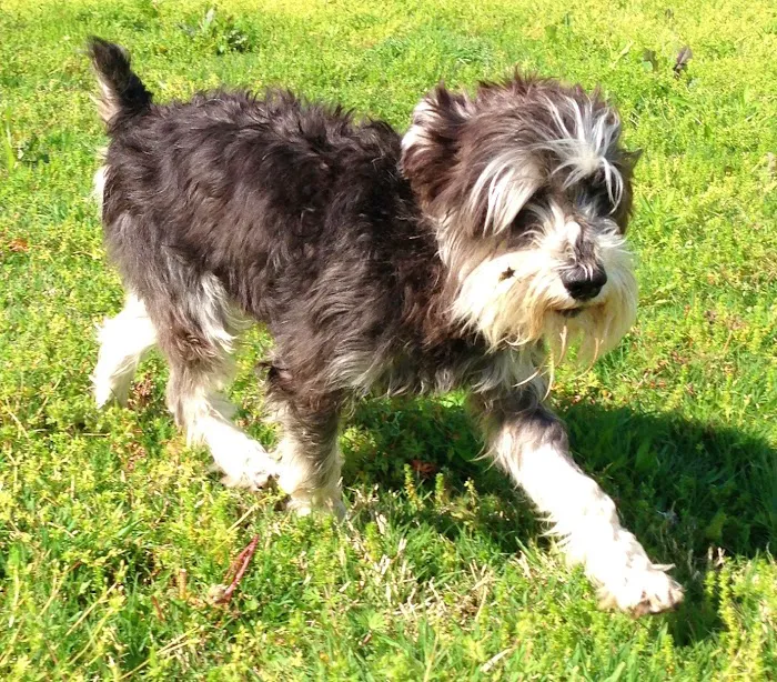 Tulsa General Veterinary Hospital Picture 1