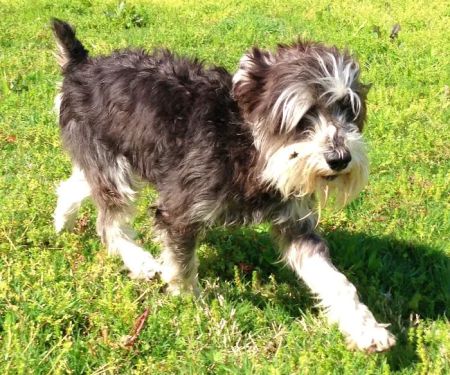 Tulsa General Veterinary Hospital