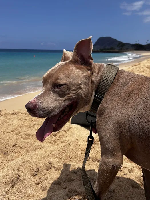 Tulsa General Veterinary Hospital Picture 6