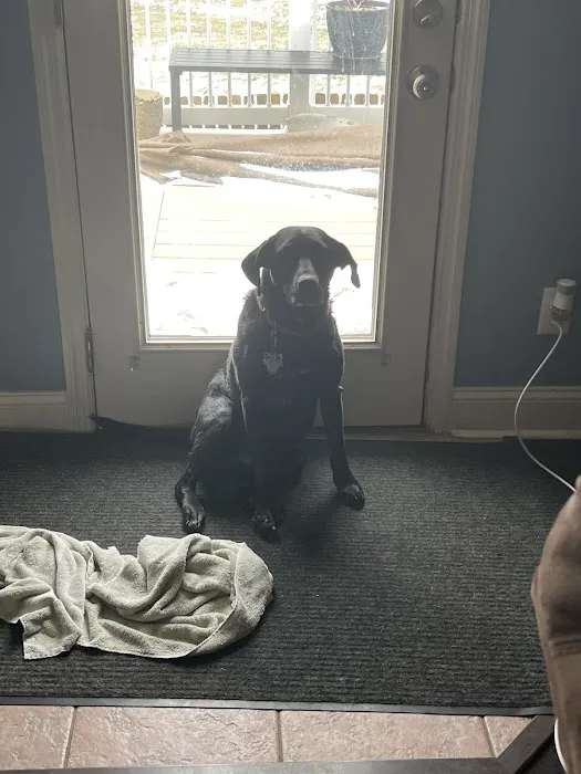 Tulsa General Veterinary Hospital Picture 7