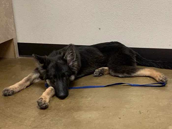 Tulsa General Veterinary Hospital Picture 9