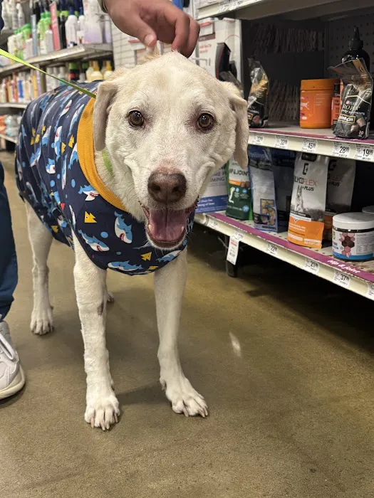 Banfield Pet Hospital Picture 1