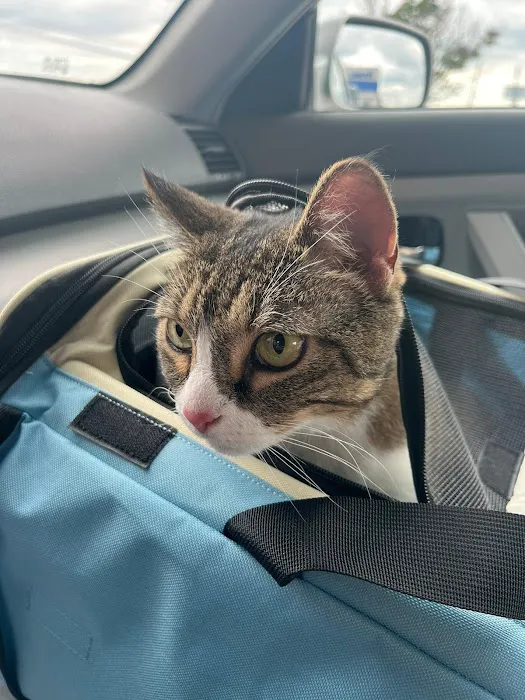 Banfield Pet Hospital Picture 5