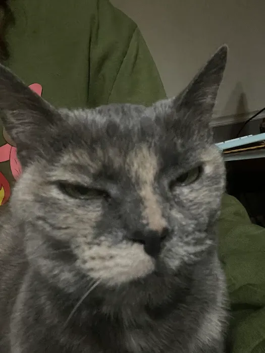 Banfield Pet Hospital Picture 6