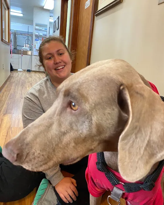 Bent Arrow Vet Picture 6