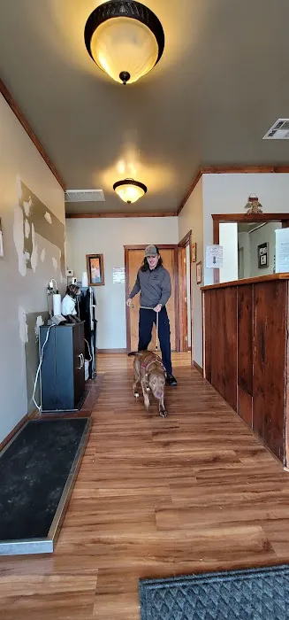 Bent Arrow Vet Picture 5