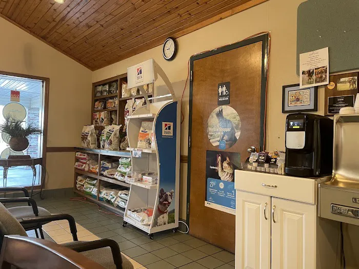 VCA Woodland East Animal Hospital Picture 4