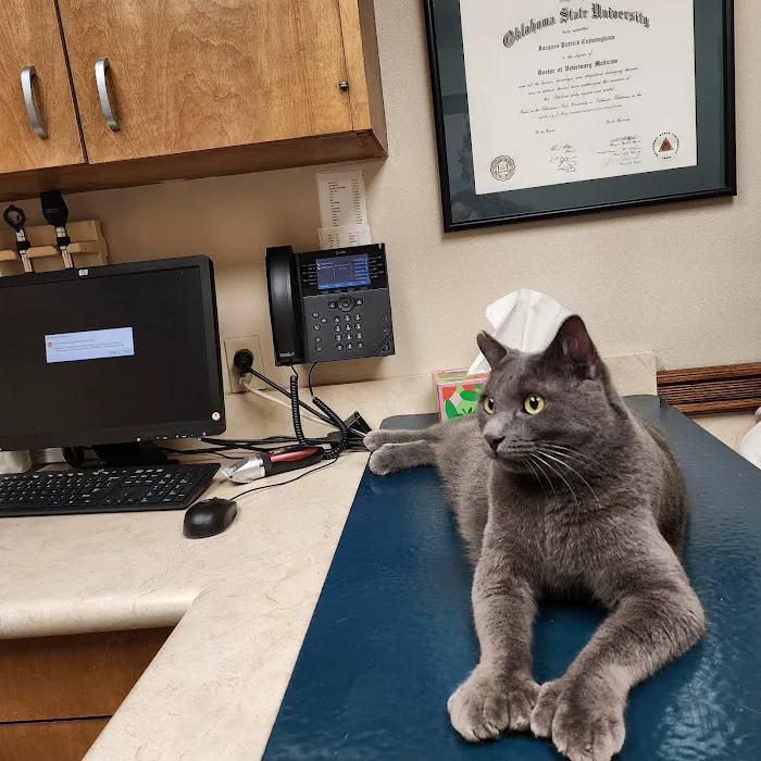 VCA Woodland East Animal Hospital Picture 1