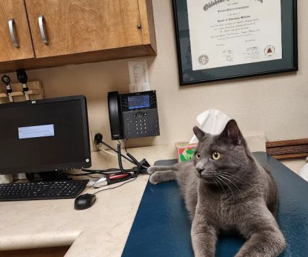 VCA Woodland East Animal Hospital