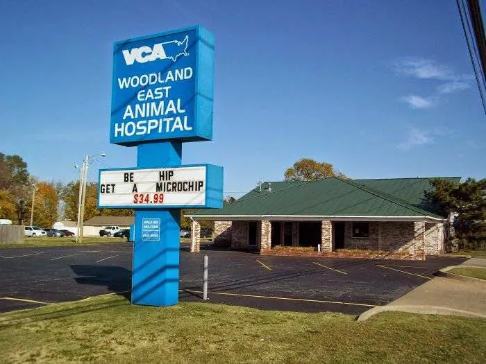 VCA Woodland East Animal Hospital Picture 7