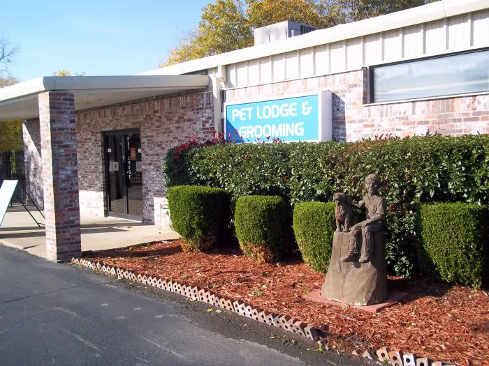 VCA Woodland East Animal Hospital Picture 5