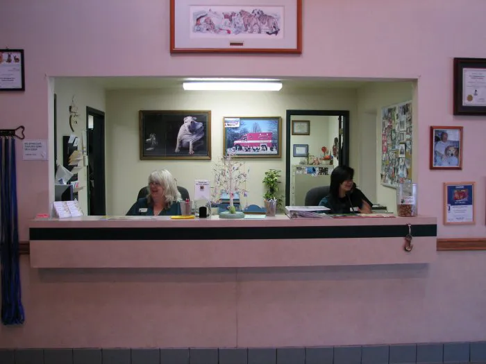 VCA Woodland East Animal Hospital Picture 9