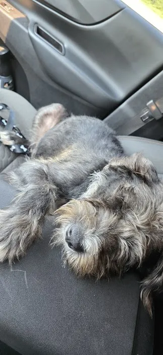 Spay Oklahoma Inc Picture 2