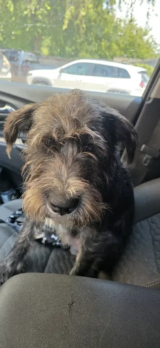 Spay Oklahoma Inc Picture 3