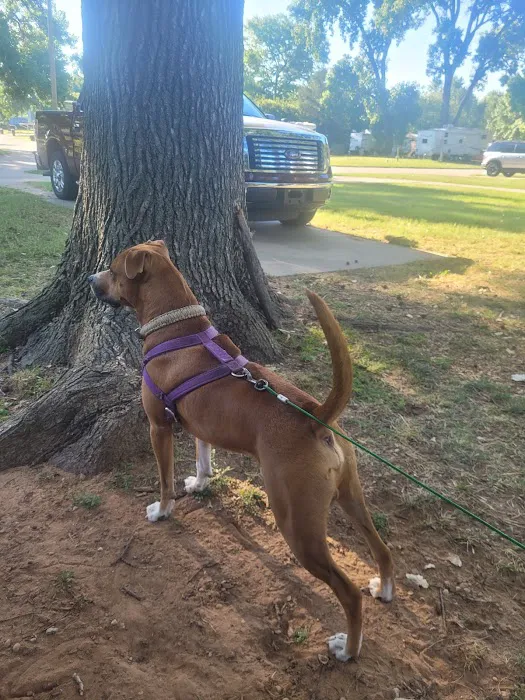 Spay Oklahoma Inc Picture 7