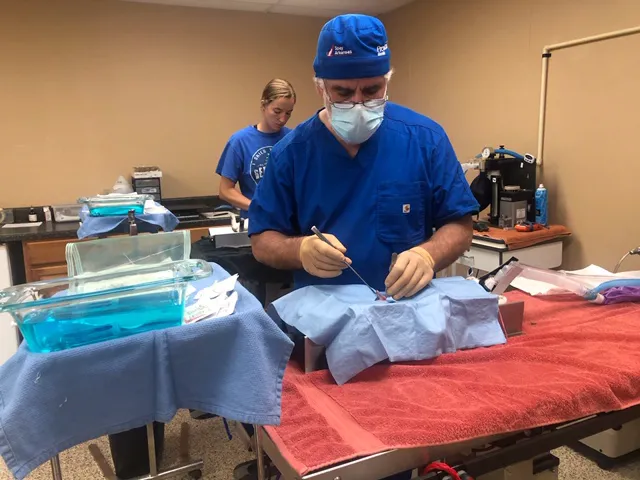 Spay Oklahoma Inc Picture 10