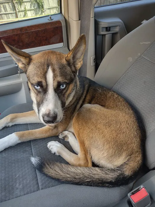 Spay Oklahoma Inc Picture 9