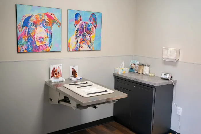 Skyline Animal Hospital Picture 3