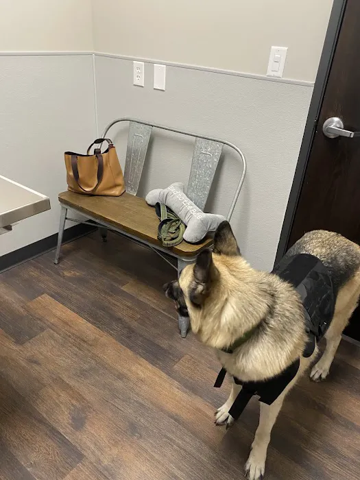 Skyline Animal Hospital Picture 1