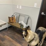 Skyline Animal Hospital