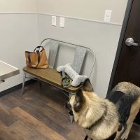 Skyline Animal Hospital ico