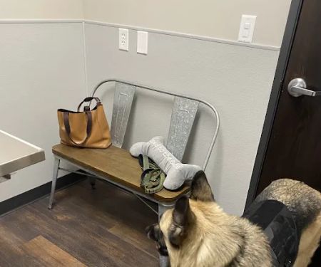 Skyline Animal Hospital